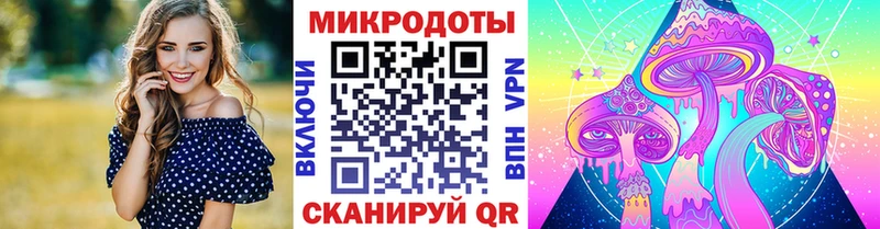 Псилоцибиновые грибы Psilocybe Ленинск